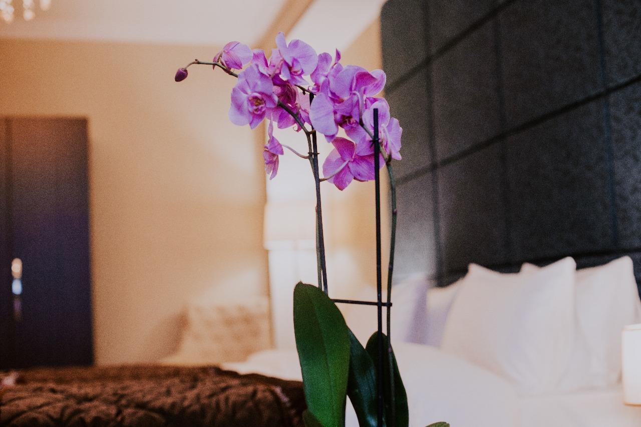 Viva Boutique Hotel Baku Kültér fotó